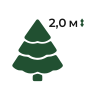 Сосна висотою 2 м (200 см)