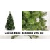 Искусственная сосна Европейская Зеленая 250 см